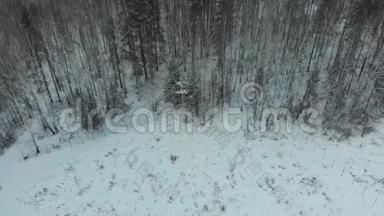 冬季森林附近公园区域的鸟瞰图，有雪树。 <strong>库存</strong>。 冬季景观